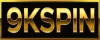 9KSPIN COM logo